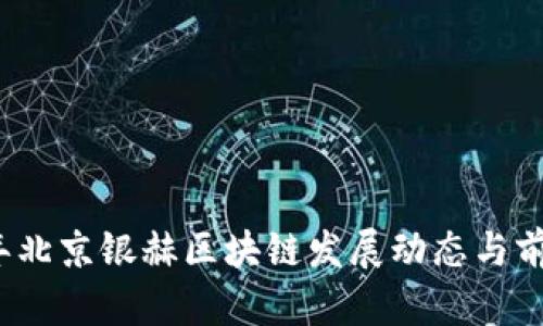 2023年北京银赫区块链发展动态与前景分析
