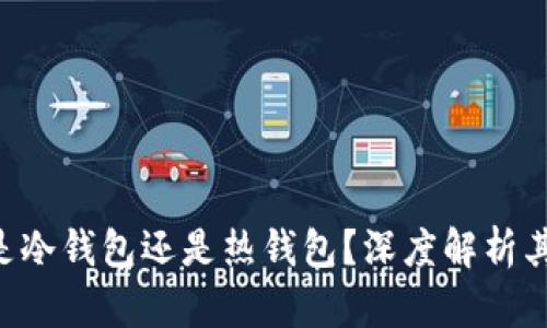 BitKeep钱包究竟是冷钱包还是热钱包？深度解析其安全性与使用场景