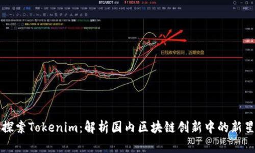 探索Tokenim：解析国内区块链创新中的新星