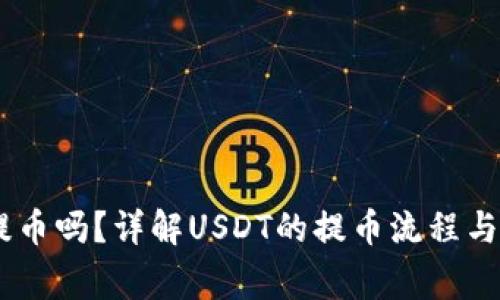 USDT能提币吗？详解USDT的提币流程与注意事项