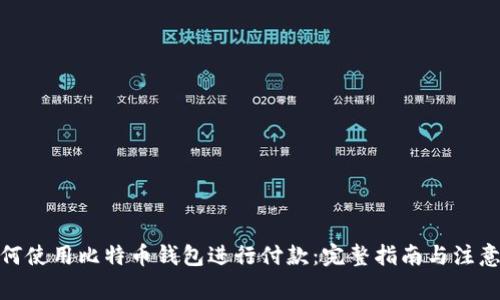 : 如何使用比特币钱包进行付款：完整指南与注意事项