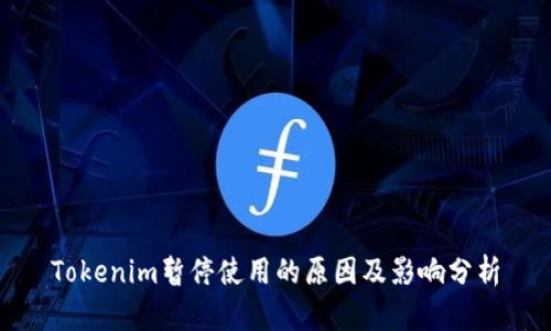 Tokenim暂停使用的原因及影响分析