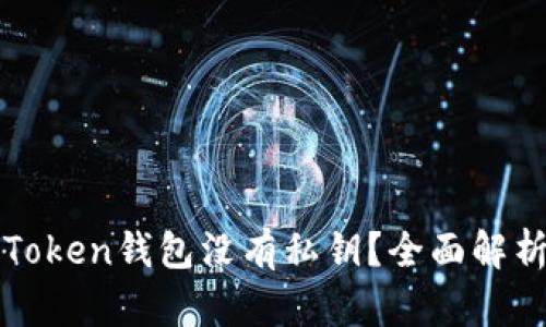 为什么你的Token钱包没有私钥？全面解析和解决方案