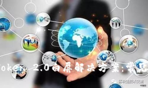 biao tiimToken 2.0白屏解决方案：常见问题与详解