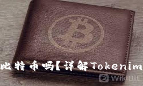 Tokenim可以接收比特币吗？详解Tokenim的功能与使用指南