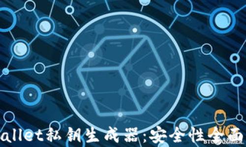 
tpWallet私钥生成器：安全性全面解析