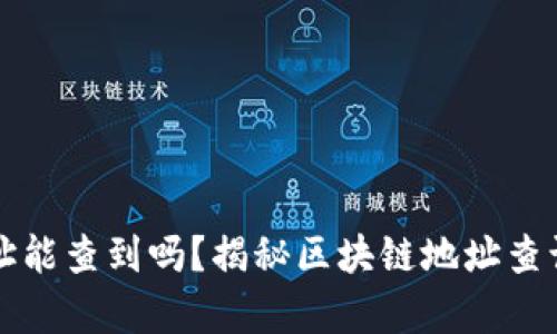 区块链钱包地址能查到吗？揭秘区块链地址查询的真相与技巧