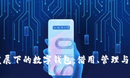 区块链技术发展下的数字钱包：借用、管理与安全性全解析
