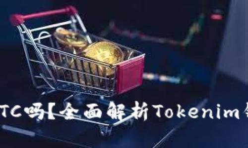 Tokenim能存储BTC吗？全面解析Tokenim钱包的功能与特点