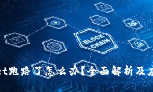 tpWallet跑路了怎么办？全面解析及应对措施