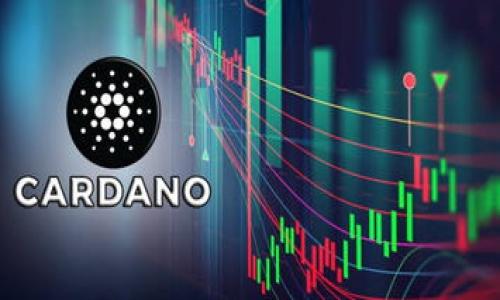 

从交易所提取MATIC到TP Wallet的全面指南：解锁您的加密资产