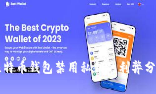 比特币钱包禁用私钥的利弊分析