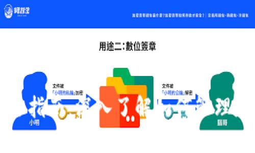 比特币钱包文件解析全指南：深入了解如何管理和保护你的比特币资产