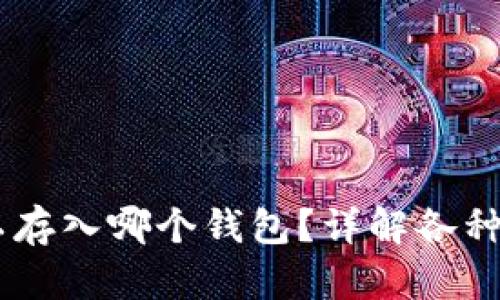 USDT可以存入哪个钱包？详解各种钱包选择