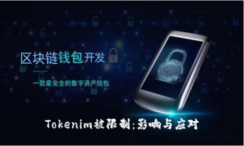 Tokenim被限制：影响与应对