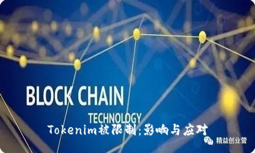 Tokenim被限制：影响与应对