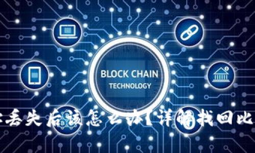 比特币钱包地址丢失后该怎么办？详解找回比特币的有效方法