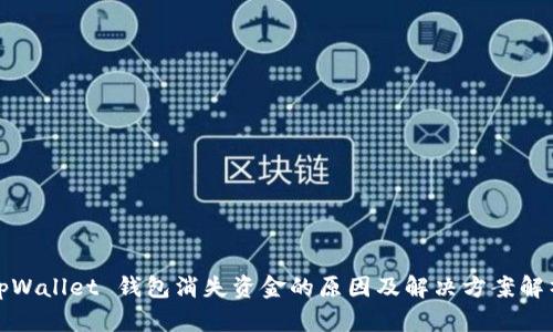 tpWallet 钱包消失资金的原因及解决方案解析