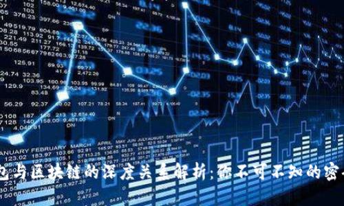 biati钱包与区块链的深度关系解析：你不可不知的密码学世界