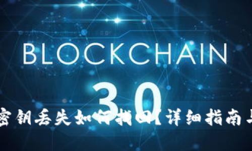   TP钱包密钥丢失如何找回？详细指南与解决方案