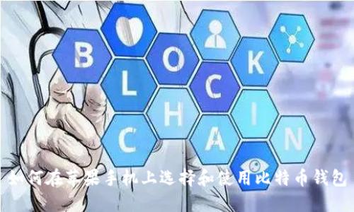 如何在苹果手机上选择和使用比特币钱包