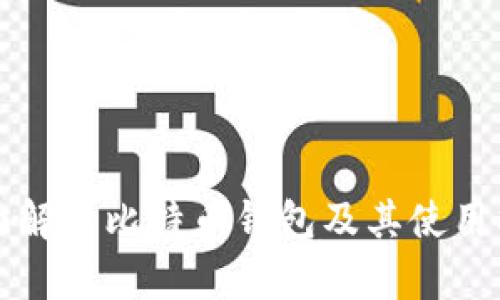 全面解析比特币钱包及其使用指南