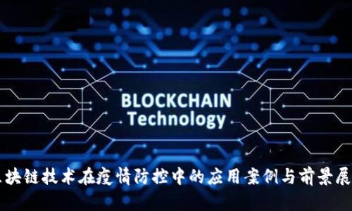 区块链技术在疫情防控中的应用案例与前景展望