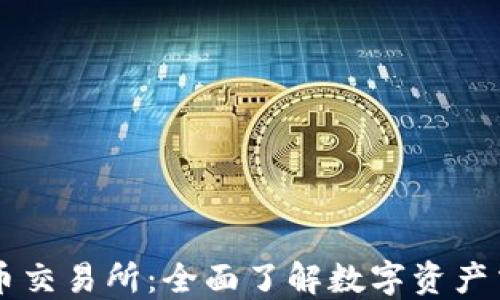 
区块链币币交易所：全面了解数字资产交易的未来