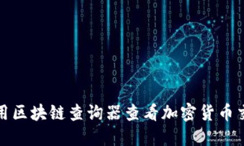 如何使用区块链查询器查看加密货币交易信息