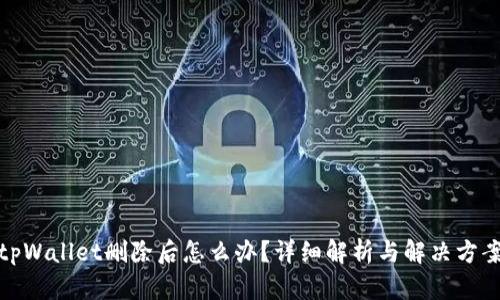 tpWallet删除后怎么办？详细解析与解决方案
