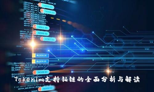 Tokenim支持铂链的全面分析与解读