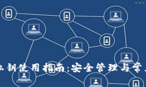tpWallet私钥使用指南：安全管理与常见问题解答