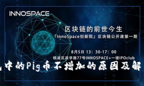 TP钱包中的Pig币不增加的原因及解决方案
