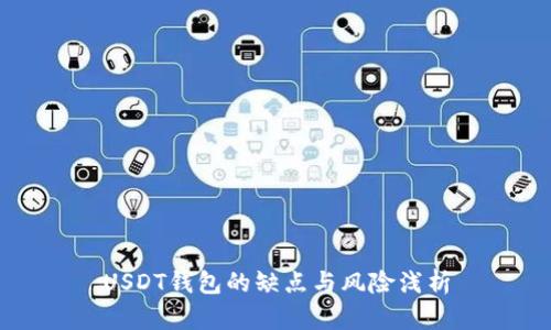 USDT钱包的缺点与风险浅析