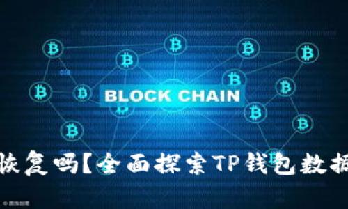 TP钱包删除能恢复吗？全面探索TP钱包数据恢复的可能性
