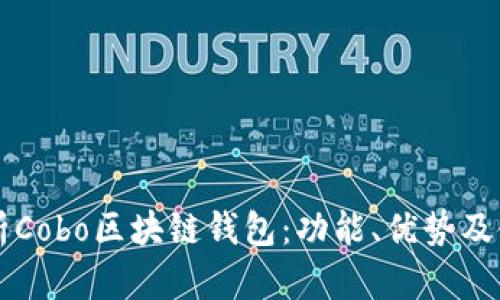 深度解析Cobo区块链钱包：功能、优势及使用指南
