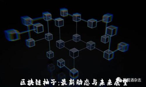 
区块链柚子：最新动态与未来展望