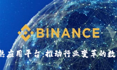  区块链成熟应用平台：推动行业变革的数字基础设施