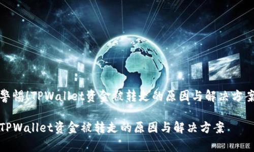 警惕！TPWallet资金被转走的原因与解决方案

TPWallet资金被转走的原因与解决方案