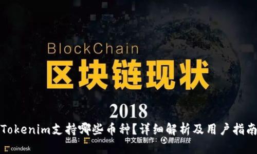 Tokenim支持哪些币种？详细解析及用户指南
