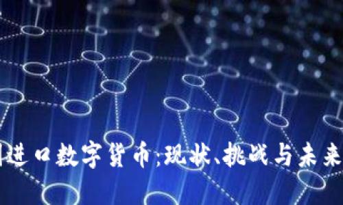中国进口数字货币：现状、挑战与未来展望
