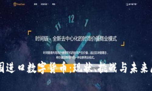 中国进口数字货币：现状、挑战与未来展望