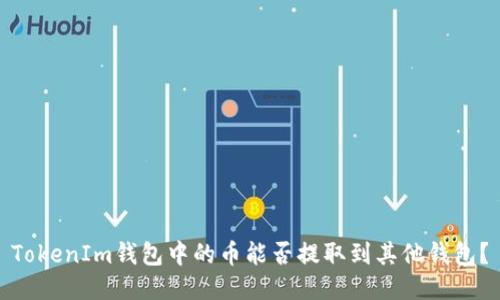 TokenIm钱包中的币能否提取到其他钱包？