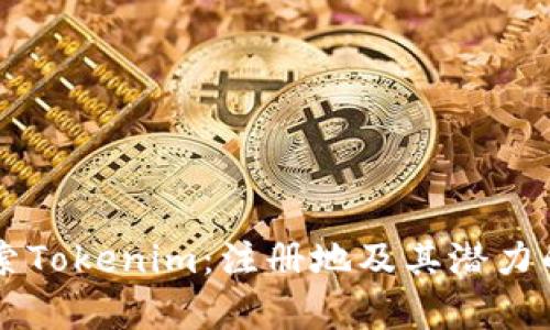 ### 探索Tokenim：注册地及其潜力的全面解析