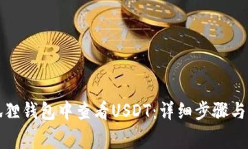 如何在狐狸钱包中查看USDT：详细步骤与常见问题