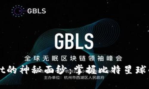 揭开tpWallet的神秘面纱：掌握比特星球的密码与未来