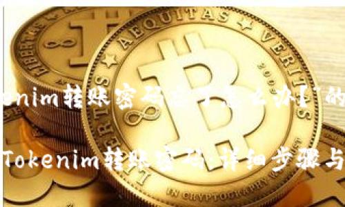 关于“tokenim转账密码忘了怎么办？”的内容大纲

如何找回Tokenim转账密码：详细步骤与解决方案