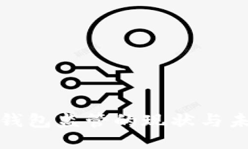 比特币钱包监管的现状与未来趋势