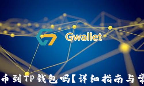 
im钱包能转币到TP钱包吗？详细指南与常见问题解答