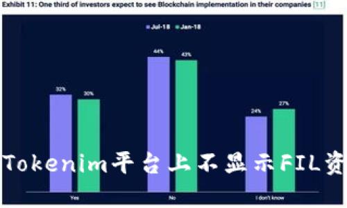 如何解决Tokenim平台上不显示FIL资产的问题